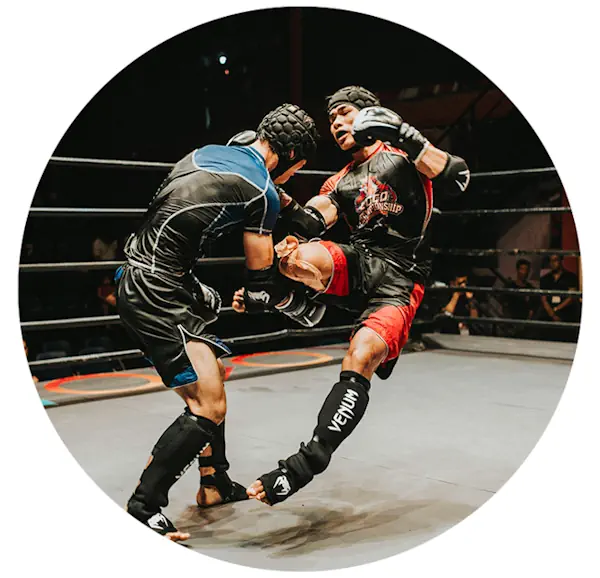 MMA Image Screenshot