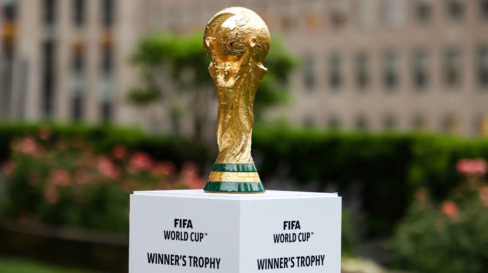FIFA World Cup Betting Odds Kenya